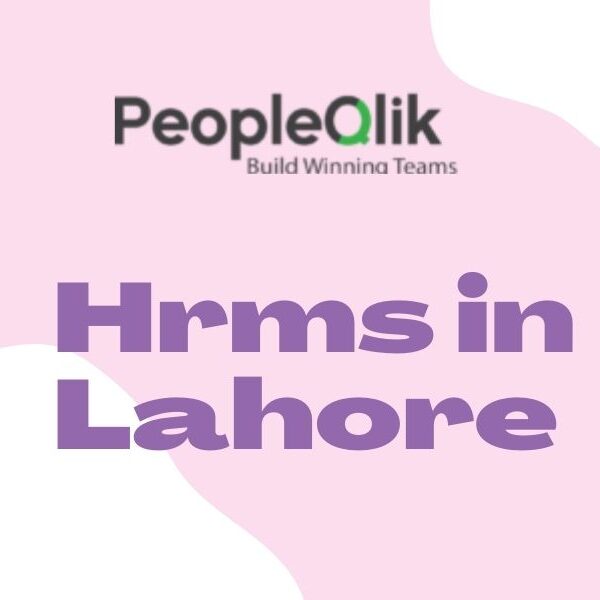 HRMS in Lahore: Why does your Business Require Automated Reports ?